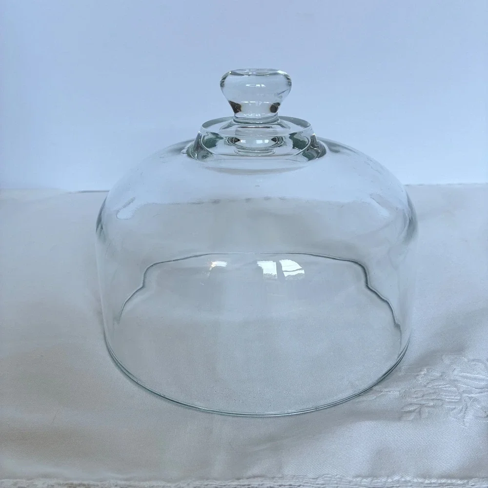 Cake Dome Glass Cloche Bell Jar Display Cover Farmhouse Cottagecore Cheese Cover